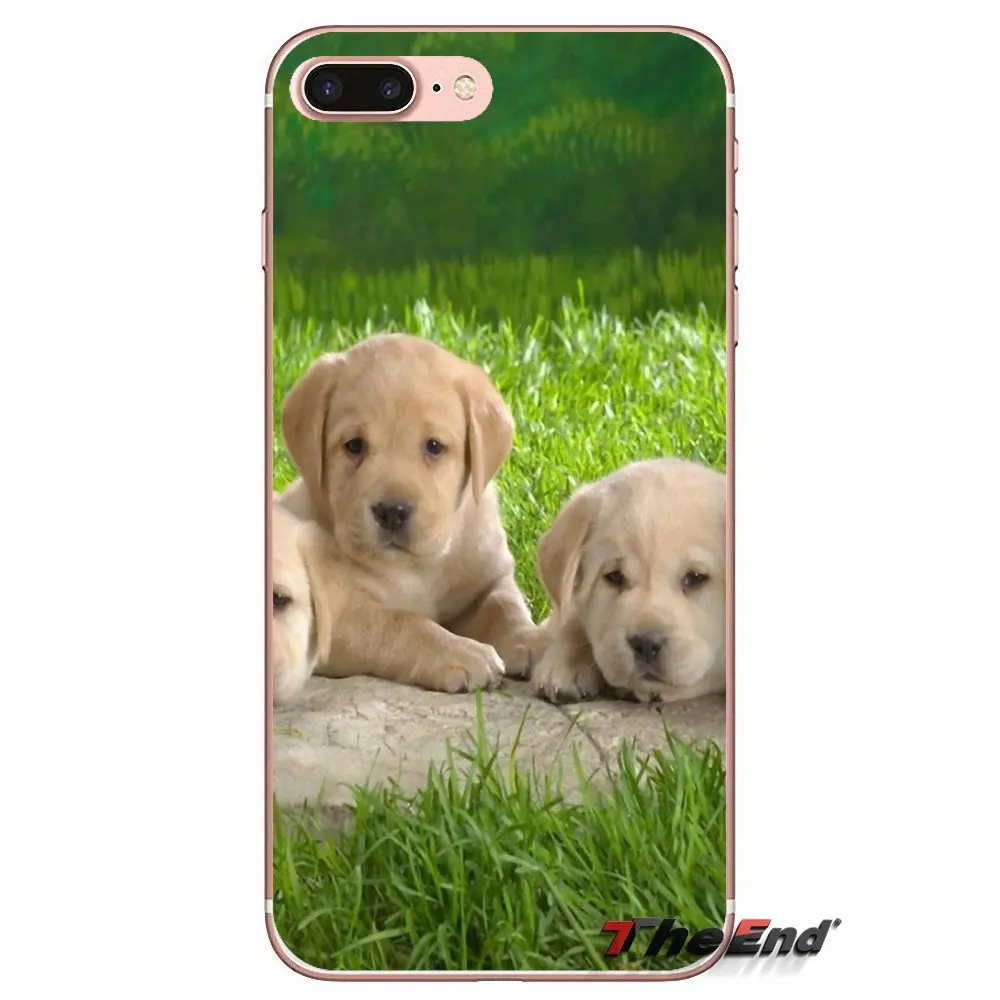 Accessories Phone Shell Covers funny labrador dog For Xiaomi Mi6 Mi 6 A1 Max Mix 2 5X 6X Redmi Note 5 5A 4X 4A A4 4 3 Plus Pro | Мобильные