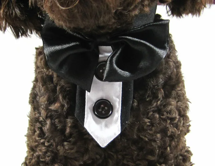 2016 new pet dog cat fashion black bowknot tie dogs cats wedding party grooming neckwear puppy neckties dogs cats bowtie 1pcs