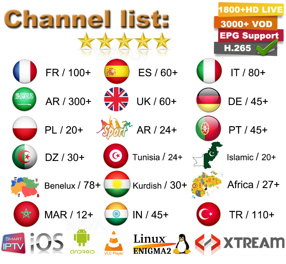 Neo tv Pro ip-телевидение арабское, Европа французский итальянский поток Live tv код H96 Max X2 2G/16G Android 8,1 смарт-приставка