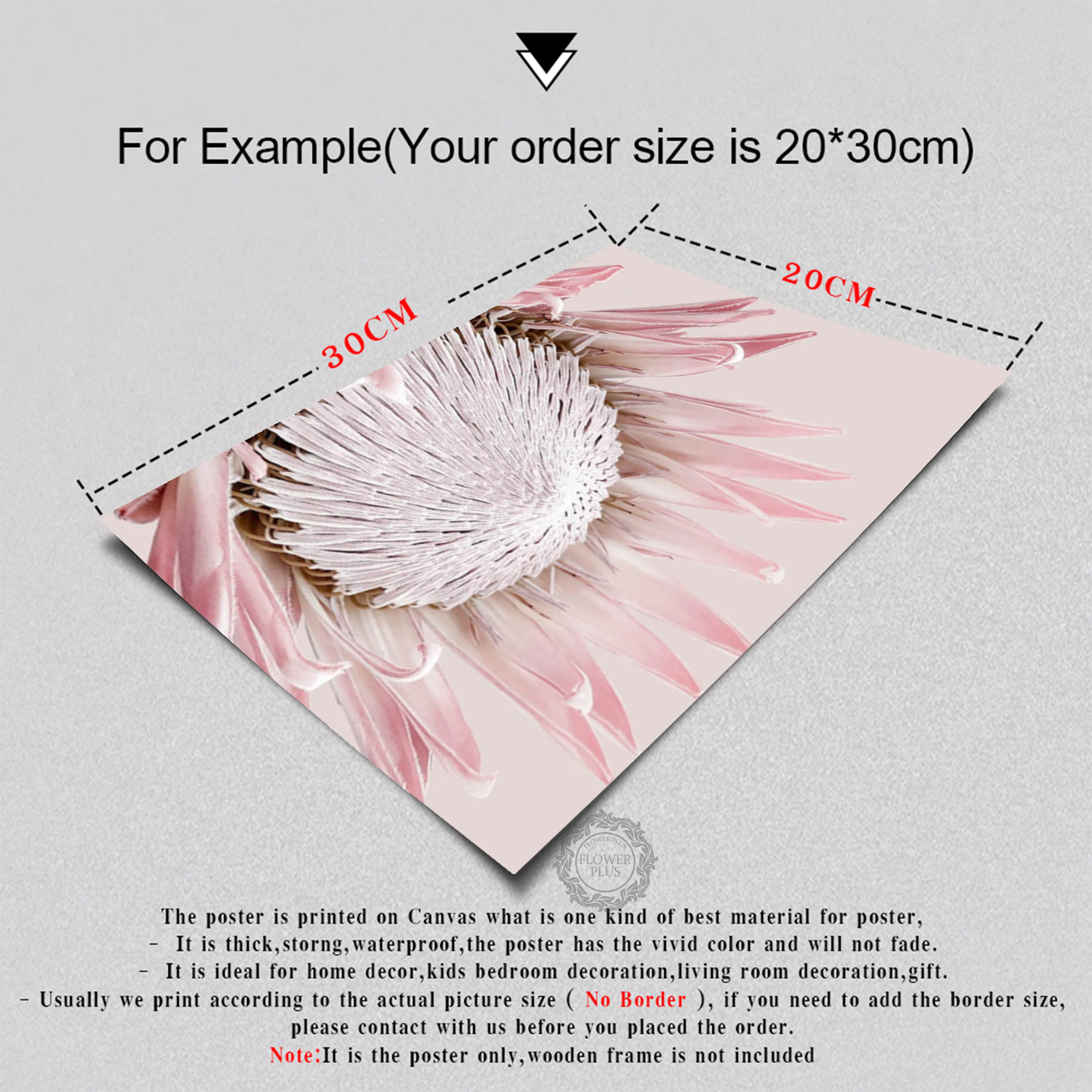 

Pink Tulip King Protea Love Quote Nordic Posters And Prints Wall Art Canvas Painting Wall Pictures For Living Room Home Decor