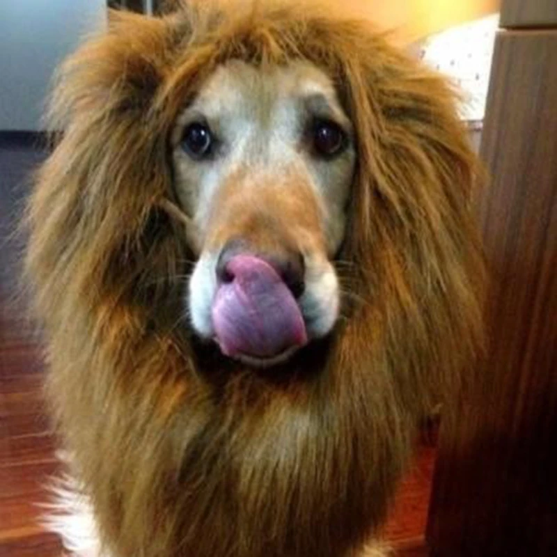 Creative Dog Dress Up Pet Costume Halloween Clothes Fancy Lion Mane Wig For Dogs Festival Dress Up Large Dogs Accessories