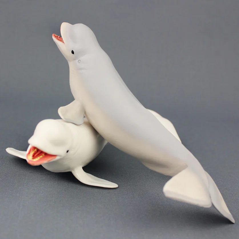 Модель белого кита Beluga игрушки монстра для морской жизни коллекция подарков