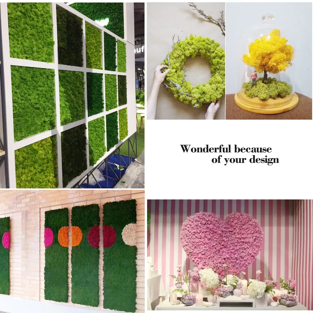 Натуральный норвежский оленевой мох 500 г консервированные сушеные цветы с