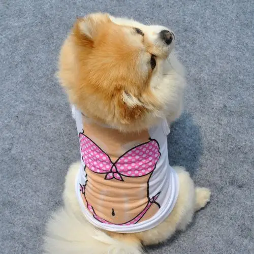 

D99 new pet dog summer vest clothes for dogs cute dog clothing for small pet dog clothes