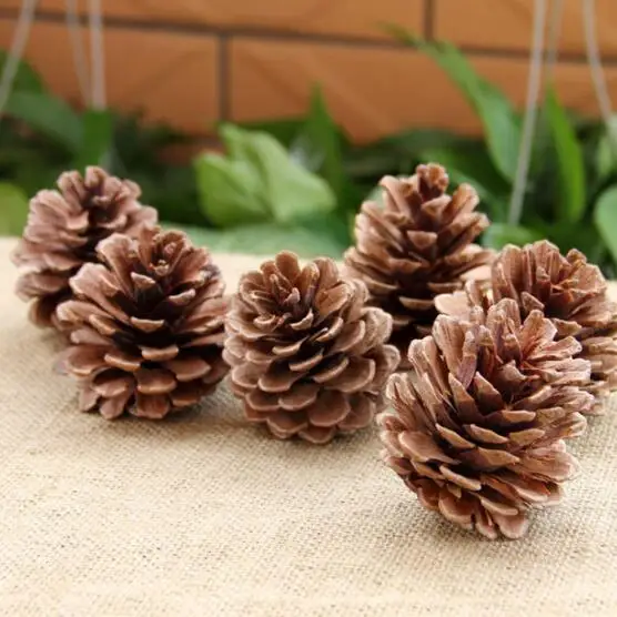 Натуральные сухие сосновые конусы Pinecone Рождество Новый Год праздничное