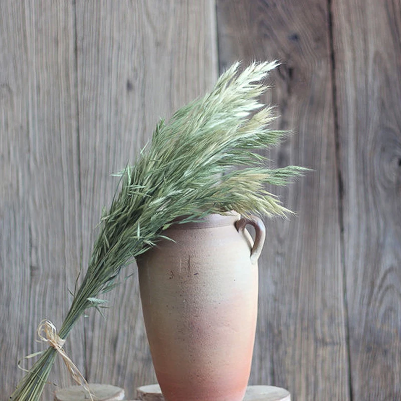 20 штук связка крученая трава натуральное сухое растение сельский дом