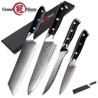 Набор кухонных ножей Grandsharp VG10, японские кухонные ножи из дамасской стали, шеф-ножи Kiritsuke, для косточек, для чистки овощей, с рукояткой из G10, 4 шт.