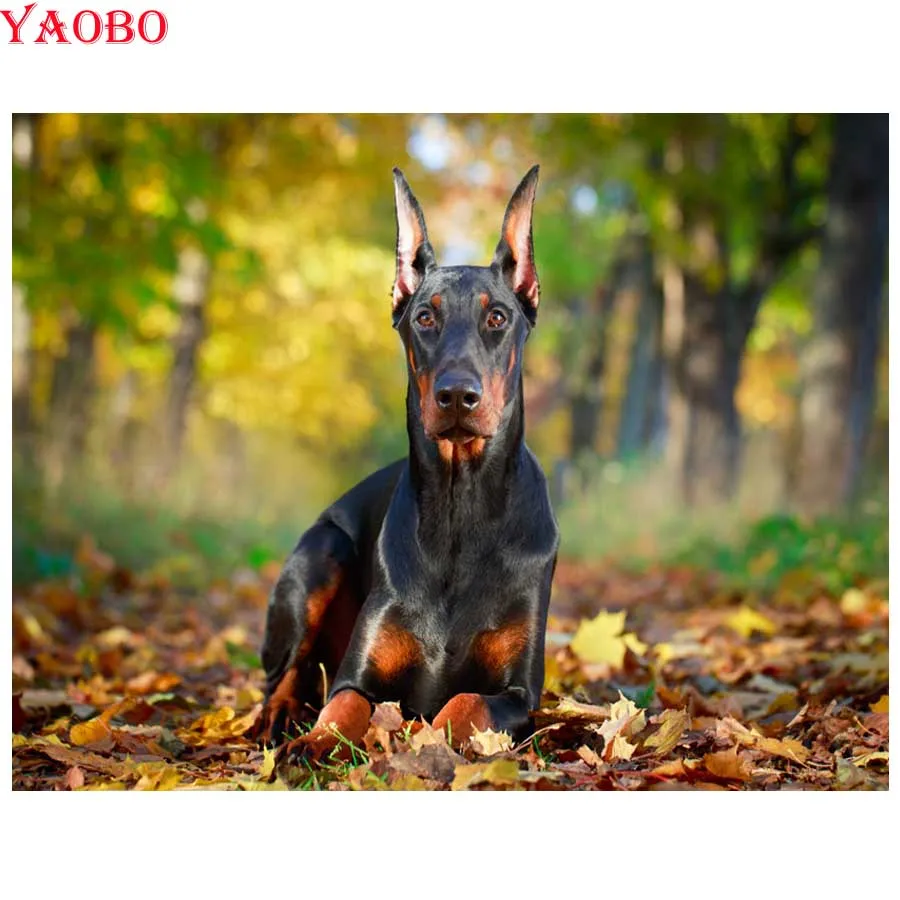 5D алмазная вышивка Doberman Pinscher Diy Алмазная Картина Вышивка крестом мозаика 3d полное