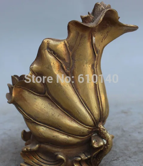 5 &quotпомеченная китайская фэн шуй латунная рыба из листьев лотоса щетка горшок