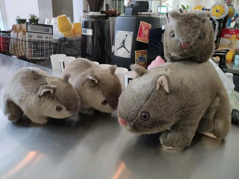 1 шт. 18 см Моделирование Плюшевые вомбат свинки Cavia Porcellus игрушка чучело дикие животные куклы игрушки для малышей, детей подарок Декор для дома, магазина