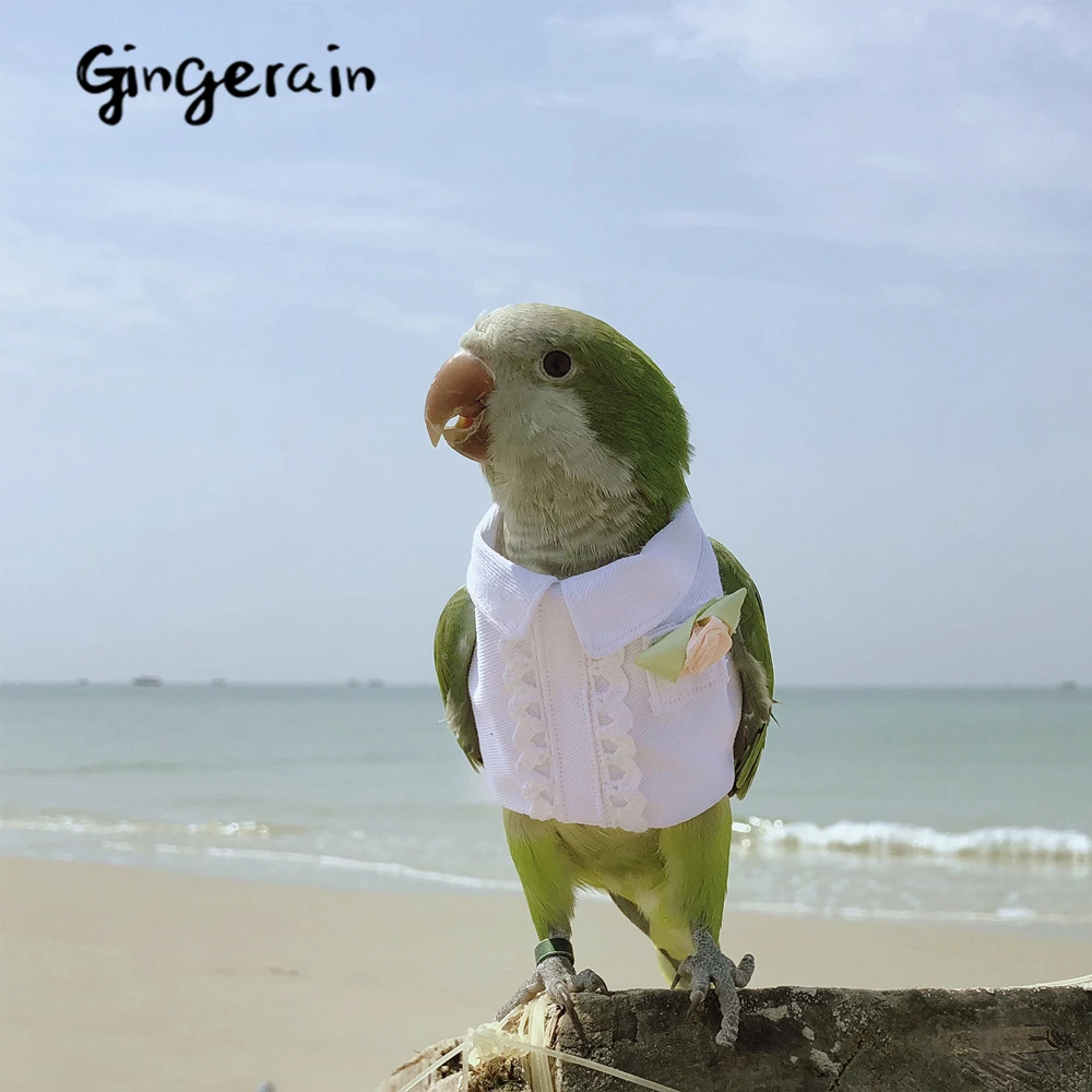 Gingerain одежда с птицами, попугаем, весенняя одежда с цветами, оригинальная ручная работа, одежда с птицами, свитер с капюшоном, весенний цветок