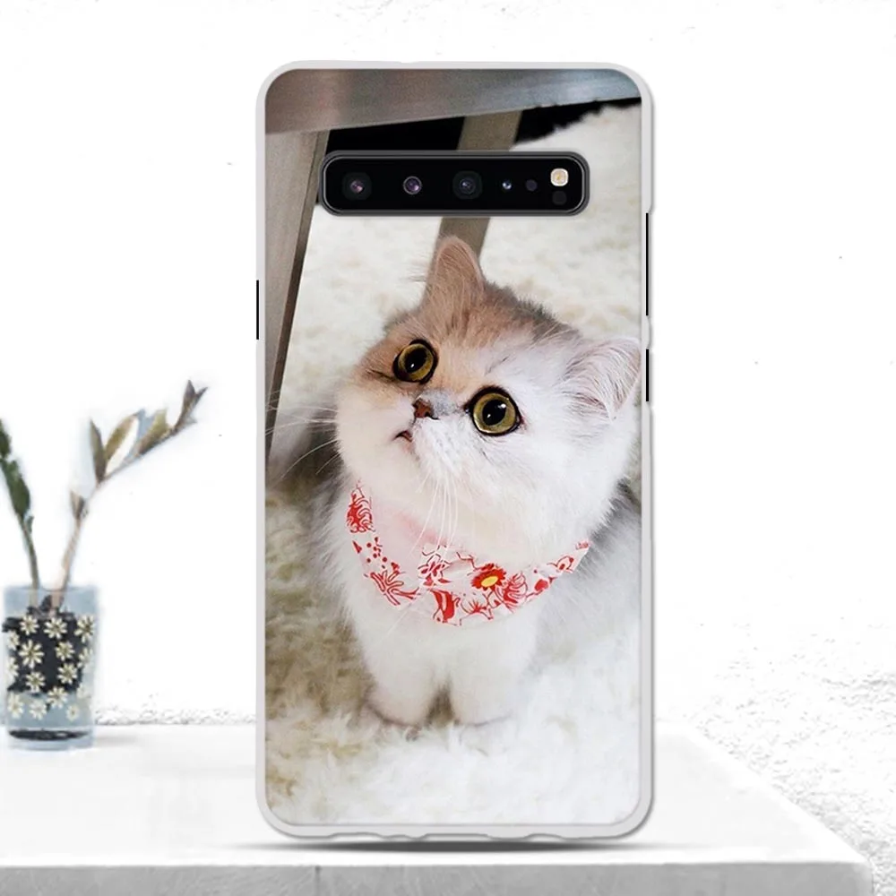 Case For Samsung Galaxy S10 (5G) Cover Luxury Soft TPU Silicone Phone Fundas SM-G977N Bag | Мобильные телефоны и