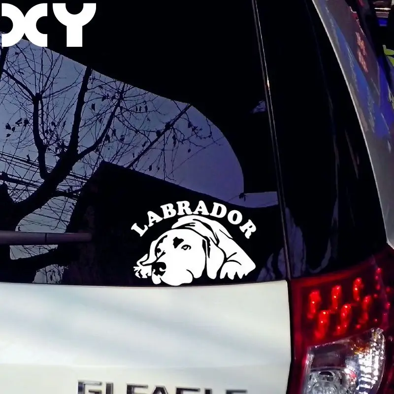 Высококачественные наклейки для автомобиля стикеры аксессуары бампера|stickers labrador|labrador stickercar sticker |