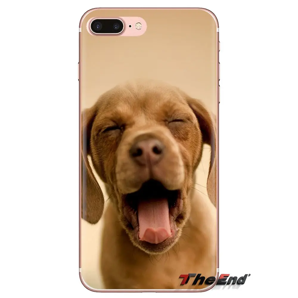 Домашние животные iPhone 8 обои силиконовый чехол для Samsung Galaxy J1 J2 J3 J4 J5 J6 J7 J8 Plus 2018 Prime