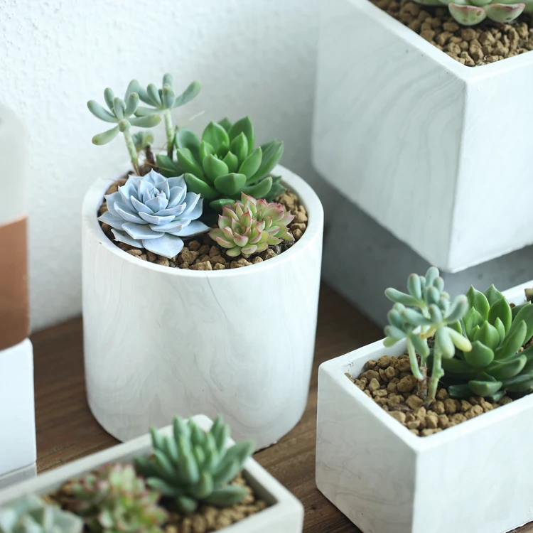 Настольные цветочные горшки простой стиль белые средние мини керамические 8