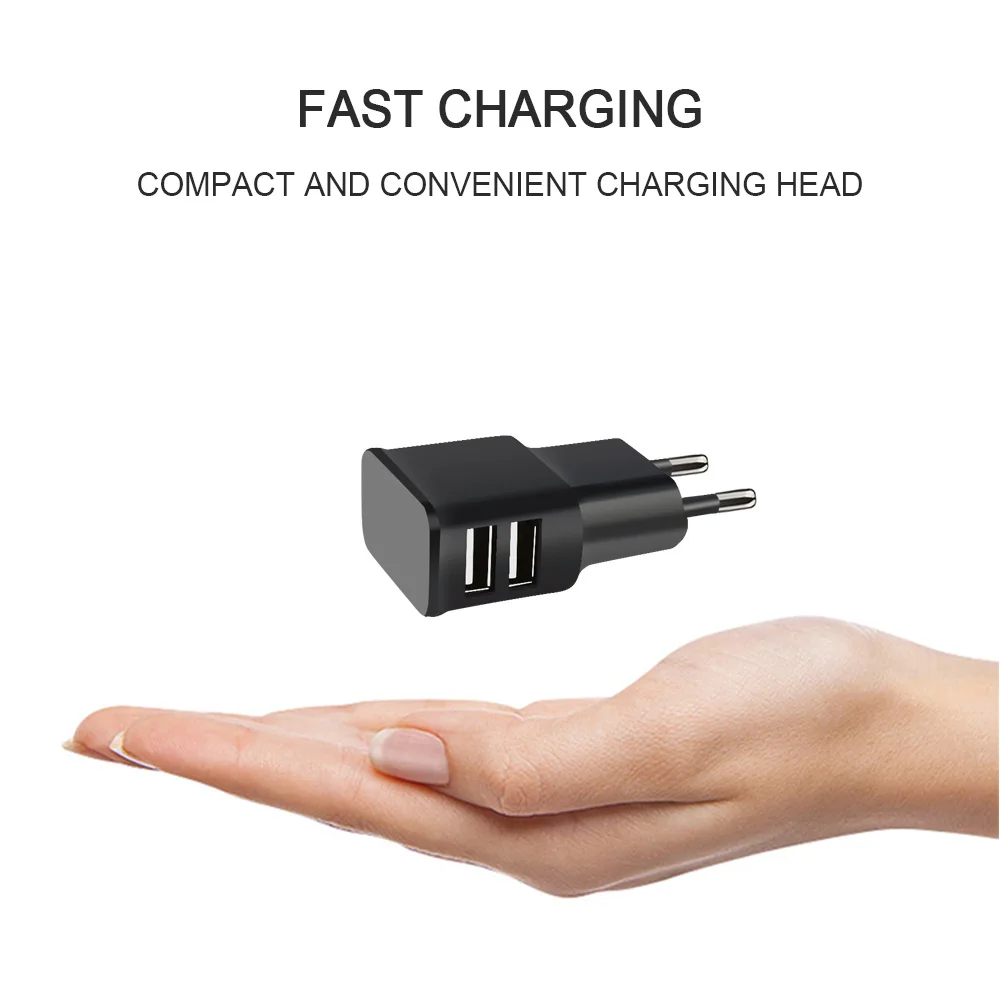 Штепсельная Вилка европейского стандарта с двумя usb разъемами для быстрого