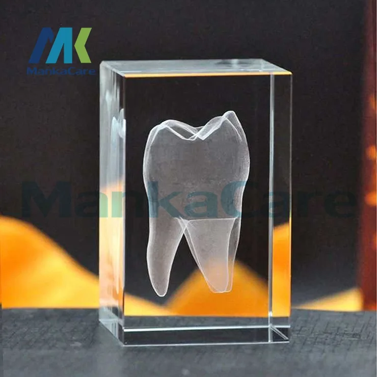 Модель зубов 3D прозрачная кристальная подставка светодиодный светодиодной