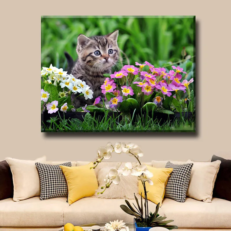 Home Diamond Embroidery Cute Kitten Square&ampRound Drill Handmade 5D Diy Painting Cross Stitch Mosaic Craftwork | Дом и сад