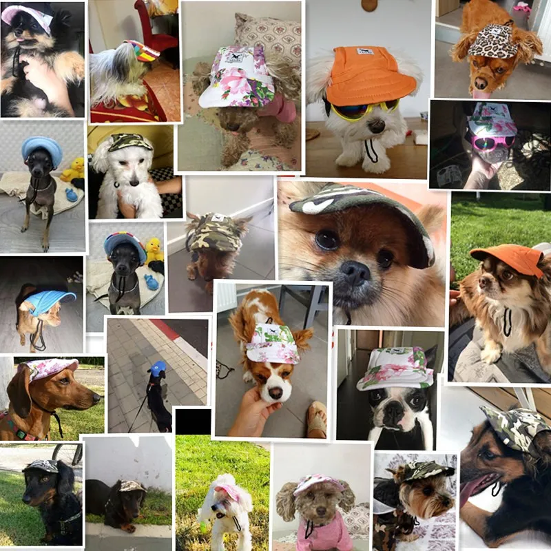 Женская бейсбольная кепка модная для собак Повседневная холщовая Кепка чихуахуа