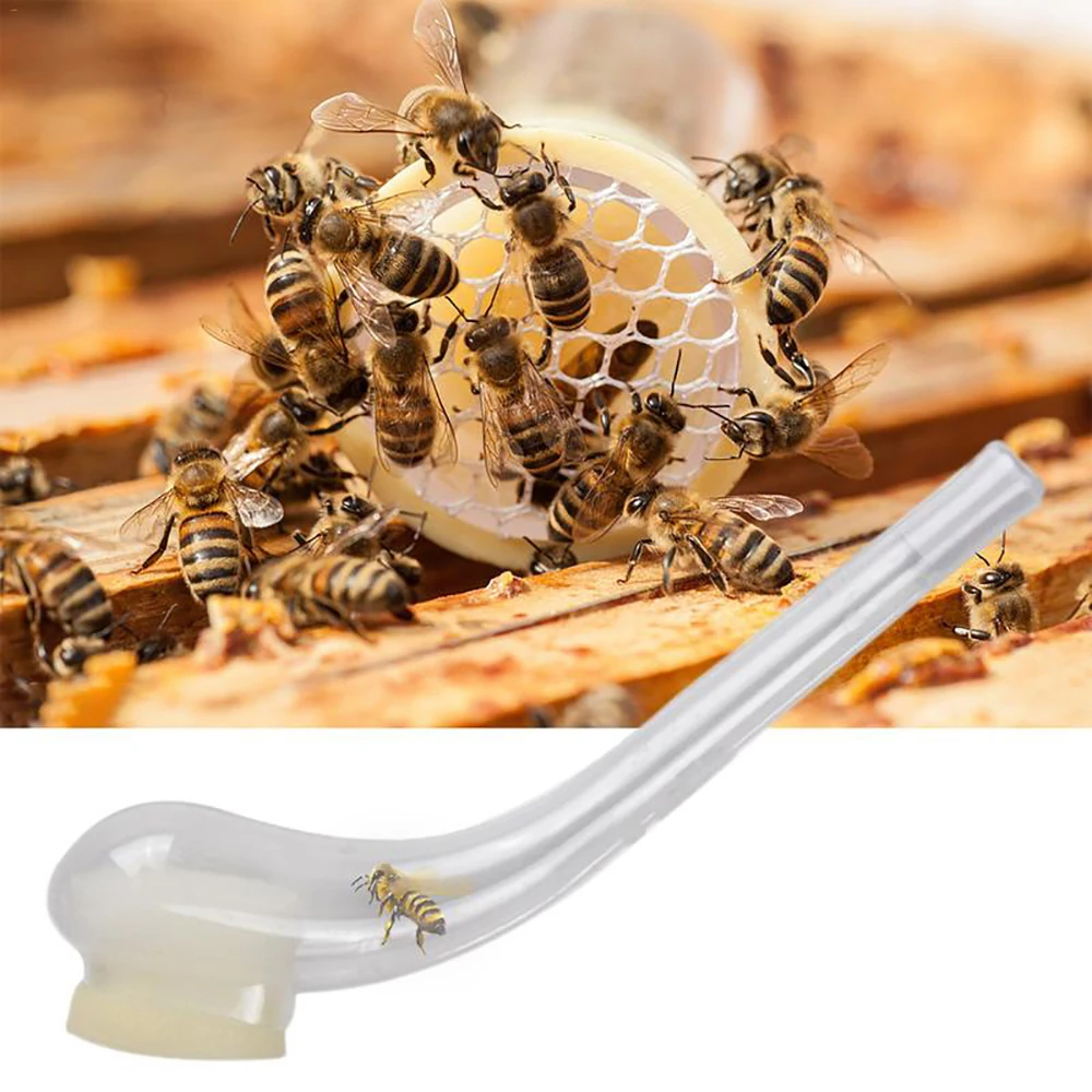 8 шт. queen Bee King Catcher Rearing пластиковая ловля табачной трубы Priosn клетка тип клетки