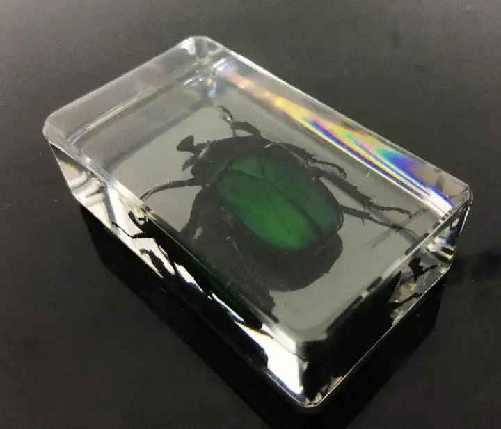 Китайский из прозрачного акрила Lucite Insect коллекция Роза соломинка Жук пресс-папье