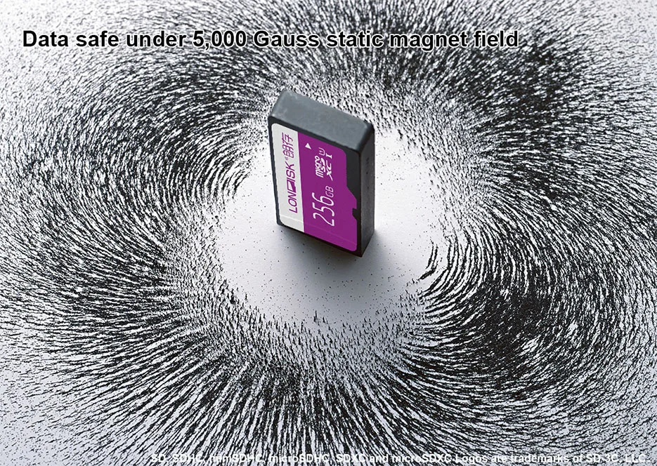 LONDISK 256 GB Micro SD карты UHS-I(U1)/UHS-I(U3)/Class 10(C10) microSDXC карты памяти с sd-адаптером