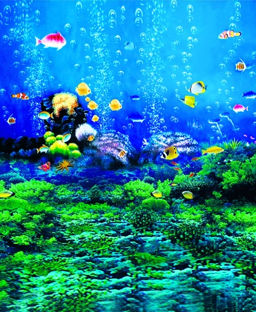 

Underwater Photography Backdrops High Clear Fish and Water Photo Background for Photo Studio Custom Newborn Baby Photos Props