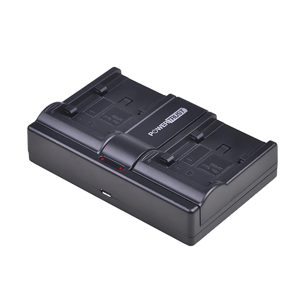 2 шт. 2900 мАч BP-828 BP 828 аккумулятор и зарядное устройство для Canon VIXIA GX10, HF G20, HF G21, HFG30, HFG40, HFM30, HFM31, HFM32, HFM300