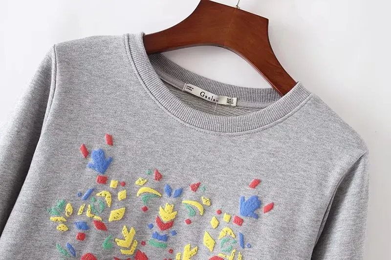 Красочные Вышивка Для женщин толстовка осень Толстовки повседневные с круглым