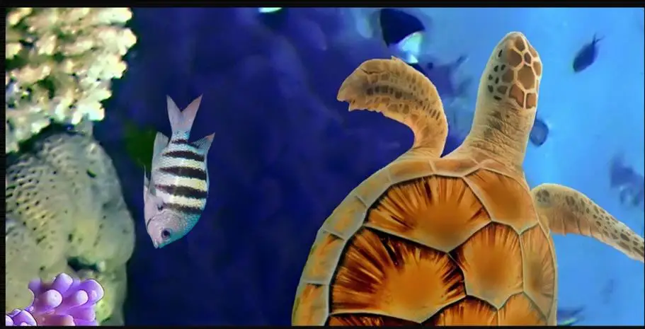 

Custom 3d floor vinyl 3d Underwater World floor wallpaper waterproof self-adheiver 3D Kitchen wallpaper flooring