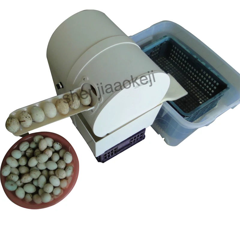 

Electric Egg Washing Machine Chicken Duck Goose Egg Washer 2400 pcs/h Poultry Farm Equipment 220V 120W Egg Cleaner Wash Machine