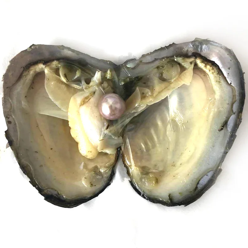 20pcs Single Red 9-10mm Near Round Edison Pearl with Vacuum Packed Oyster Fresh Pearl in Oyster