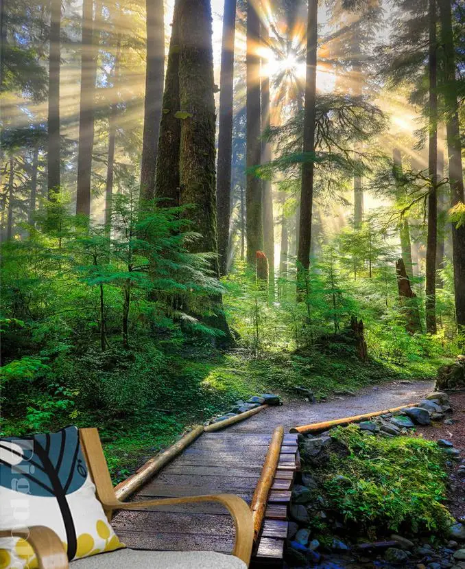Пользовательские 3d обои для гостиной спальни солнечный лес Под лесом траектория