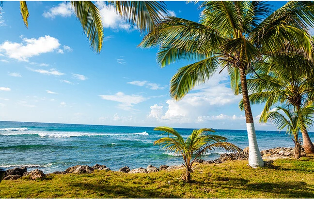 Пользовательские 3D фото обои пальмовый Пляж пейзаж для гостиной спальни фоновая