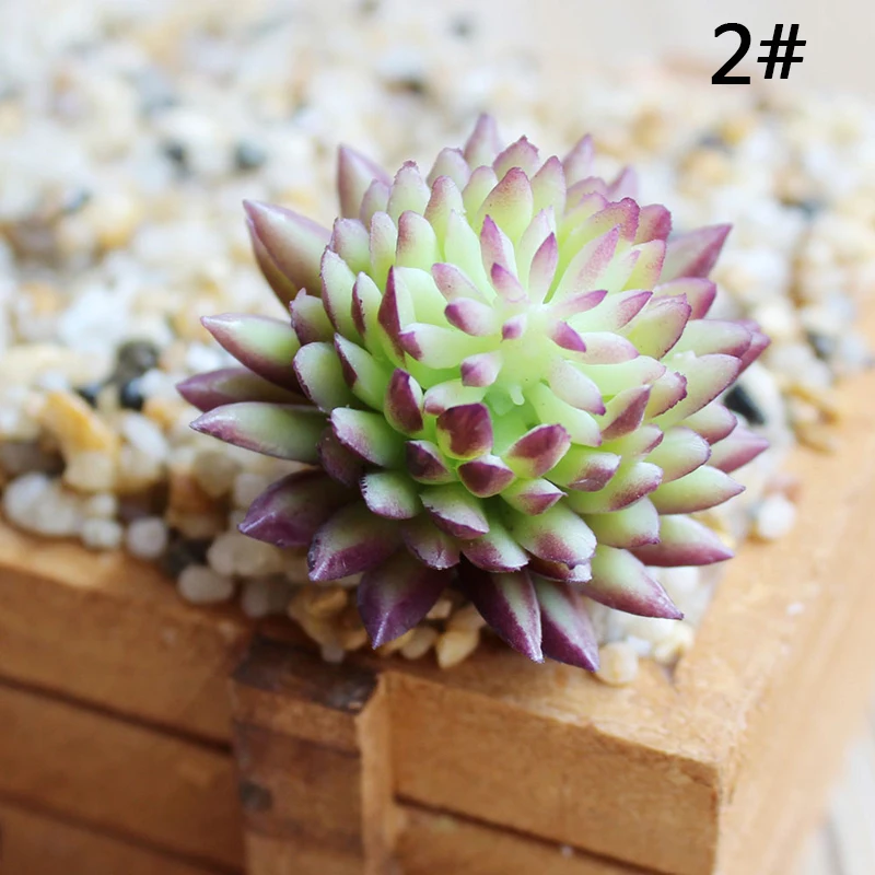 Искусственные пластиковые миниатюрные сочные растения кактус эчеверия