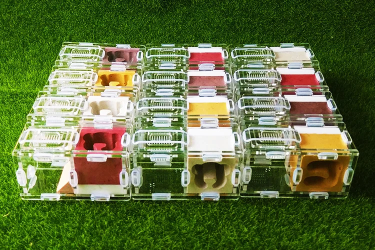 Пластырь Муравьиное гнездо акриловая муравьиная ферма муравьиный домик