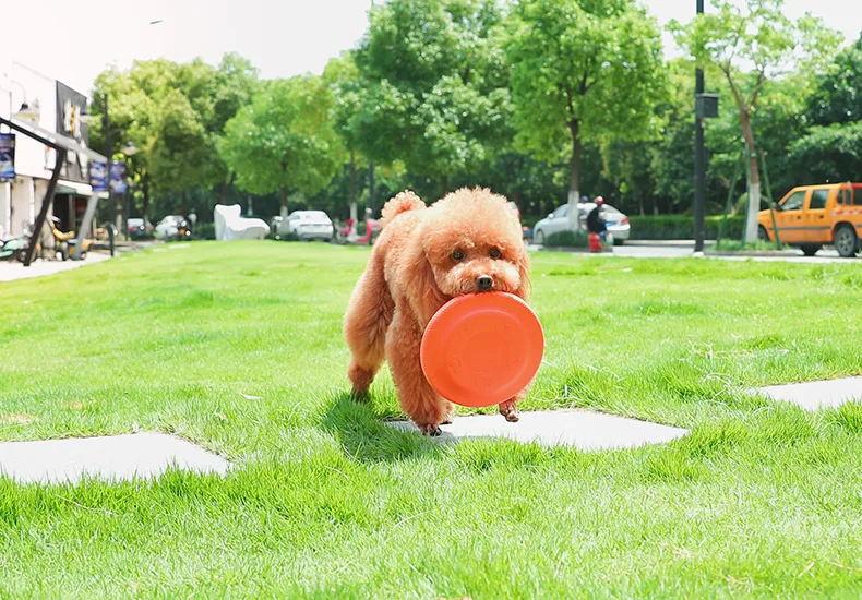 Hoopet игрушки для собак товары для домашних животных жевательная игрушка интерактивный Съемник укуса Игрушки для маленьких больших собак аксессуары тренировочные товары