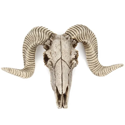 Полимерный Скелет овчины головы Овцы головы черепа настенная подвеска 3D животное лонгун Скульптура Статуэтки ремесла рога украшения для дома
