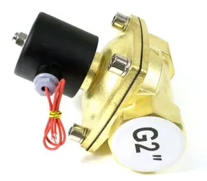 2 шт. в партии, латунный клапан G2 дюйма с отверстием для потока 50 мм, модель клапана управления водой 2W500-50, напряжение 24 В постоянного тока, бесплатная доставка