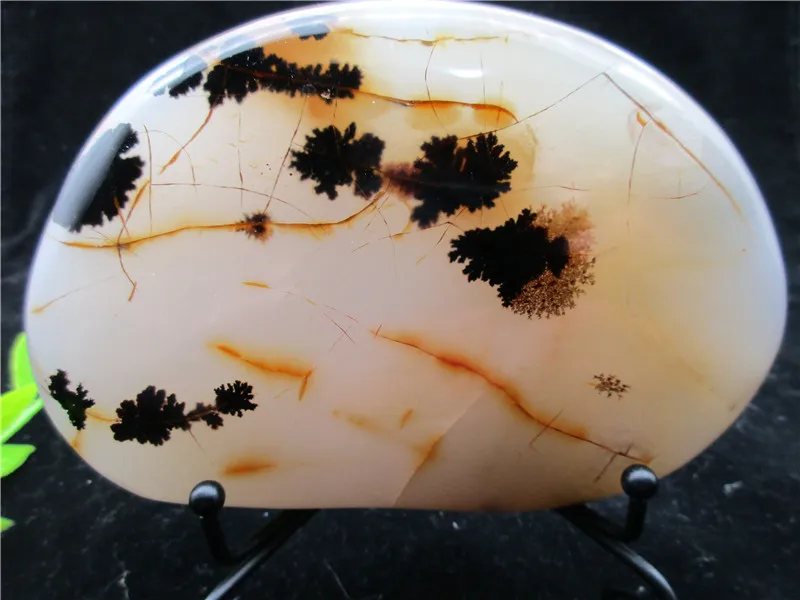 Натуральные полированные водные растения агат кристалл мадагаскарского