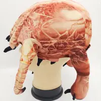 Шапка из Half Life#2