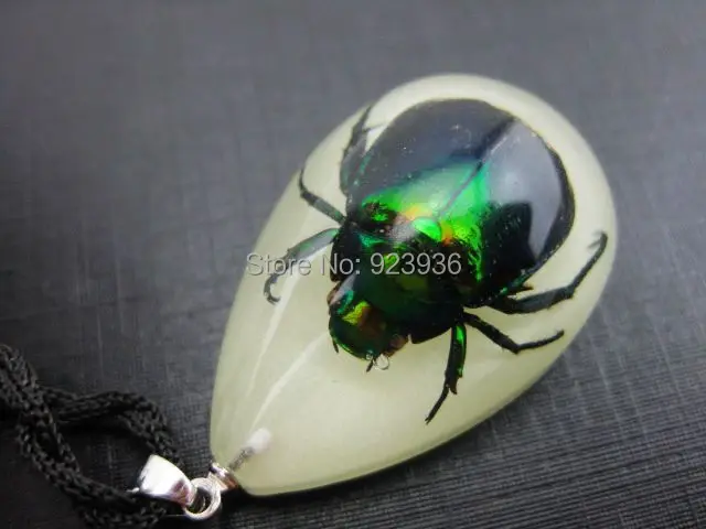 12 PCS Punk Rock Creepy Real Beetle In Glow The Dark Resin Pendant Promotion Novel Souvenir Birthday Gift | Украшения и