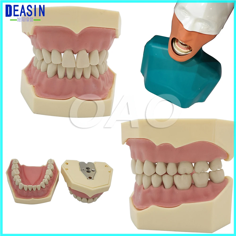 

Dental Soft Gum Removable 28PCS Teeth Model Nissin 200 Compatible