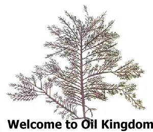 wholesale!!skin care oil Free shopping 100% pure plant Seaweed extract Vitamins A B C E amino acids Sargassum | Красота и здоровье