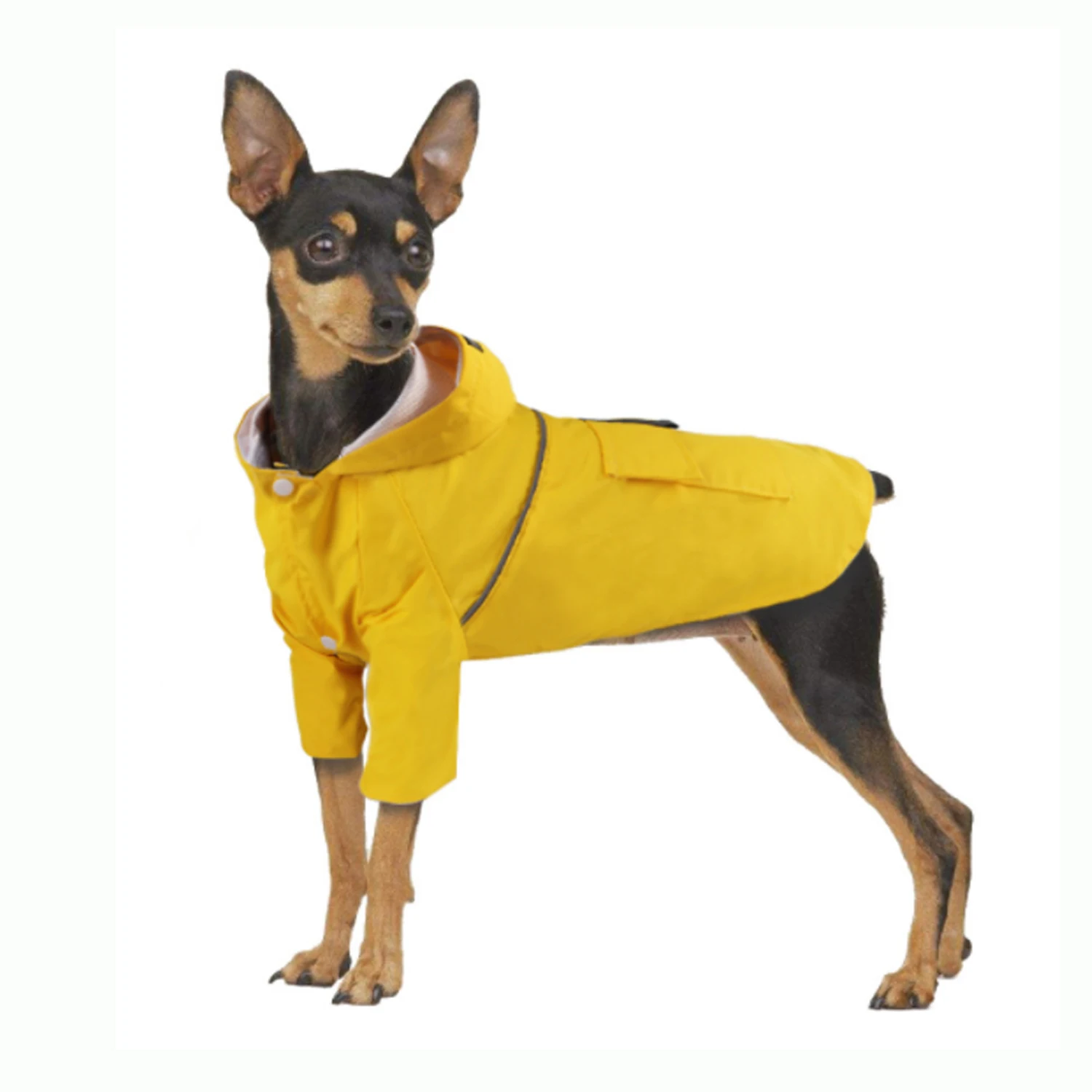 Весенне летний плащ для домашних животных Одежда собак светоотражающий