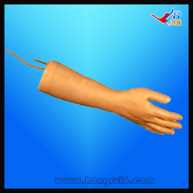 Тренировочная ручка ISO IV ручная модель Venipuncture инъекции IV|hand model|hand training |