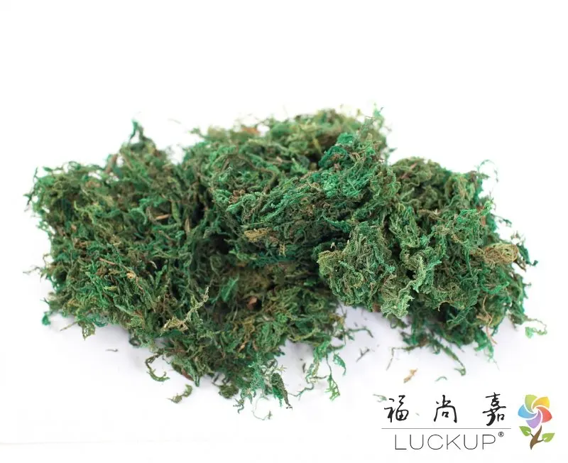 

30g of a pack Keep dry real green moss wedding plants vase turf accessories for flowerpot decoration F480