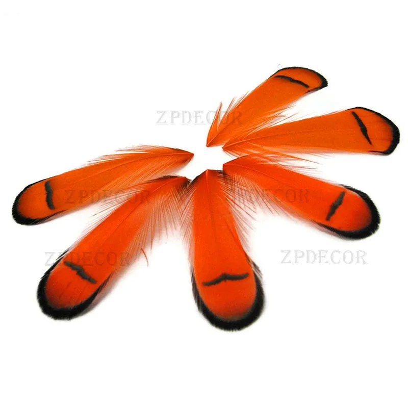 5-10 CM/2-4 Inch high quality natural Lady Amherst Pheasant Tippet Feather costumes Necklace accessories Carnival Decoration | Дом и сад