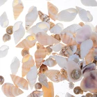 40 шт.пакет DIY 1:12 мини Sea Shell около Миниатюрный Кукольный домик с морскими ракушками и карликовое дерево Пейзаж куклы Садовые принадлежности