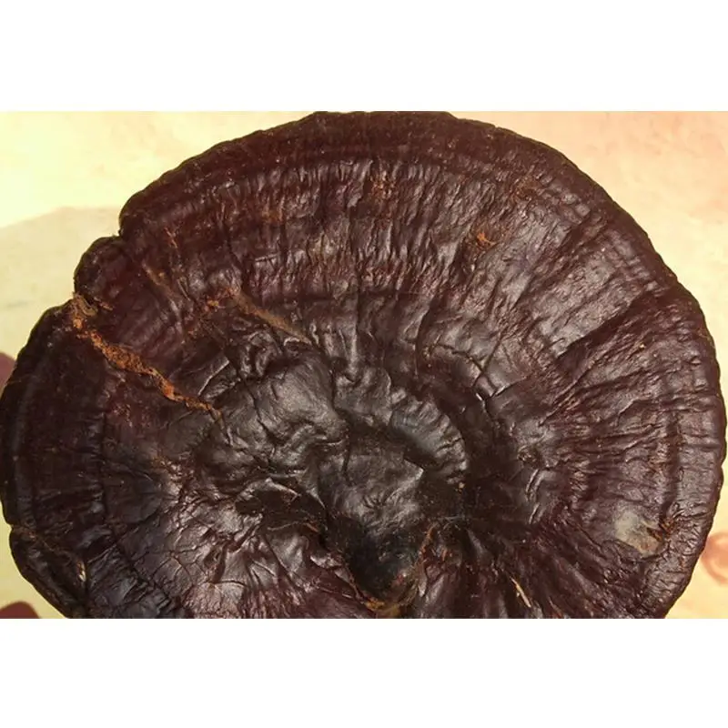 200 г Ganoderma Lucidum Paekdusan фитотерапия природные сушеные Lingzhi рейши грибы анти - рак